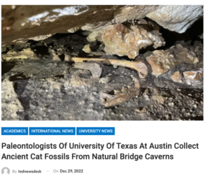 India Education Diary: Paleontologists Of University Of Texas At Austin Collect Ancient Cat Fossils From Natural Bridge Caverns
