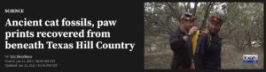 KXAN: Ancient cat fossils, paw prints recovered from beneath Texas Hill Country
