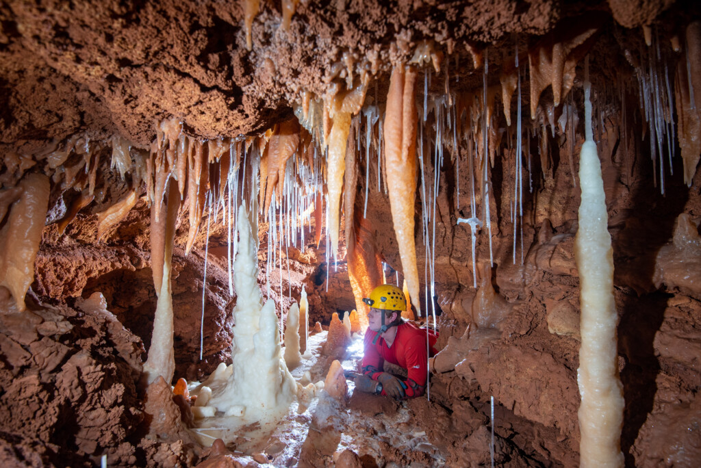 Searching for cave critters in the upper passage in a wild cave section of Natural Bridge Caverns