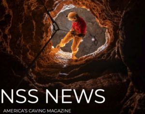 The Ancient Cats of Natural Bridge Caverns