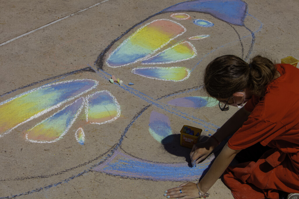 Butterflies and Blooms chalk art